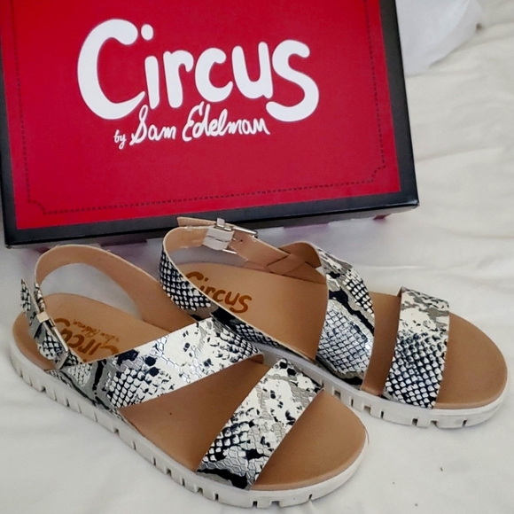 Circus by Sam Edelman Sandle - Picture 2 of 3